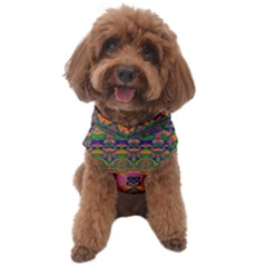 Boho Colorful Pattern Dog Sweater by SpinnyChairDesigns