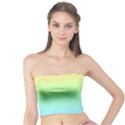 Pastel Rainbow Ombre Tube Top View1