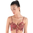 Gold and Rust Floral Print Woven Tie Front Bralet View1