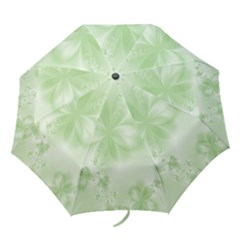 Tea Green Floral Print Folding Umbrellas by SpinnyChairDesigns