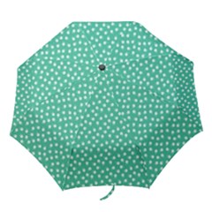 Biscay Green White Floral Print Folding Umbrellas by SpinnyChairDesigns