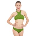 Avocado Green Butterfly Print High Neck Bikini Set View1