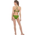 Avocado Green Butterfly Print High Neck Bikini Set View2