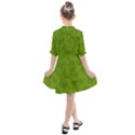 Avocado Green Butterfly Print Kids  All Frills Chiffon Dress View2