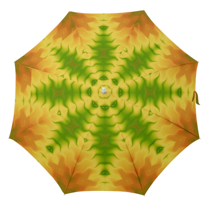 Lemon Lime Tie Dye Straight Umbrellas