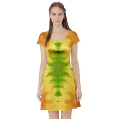 Lemon Lime Tie Dye Short Sleeve Skater Dress by SpinnyChairDesigns