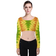 Lemon Lime Tie Dye Velvet Long Sleeve Crop Top by SpinnyChairDesigns