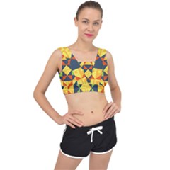 Africa  V-back Sports Bra by Sobalvarro