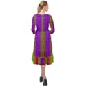 Colors Of A Rainbow Ruffle End Midi Chiffon Dress View2