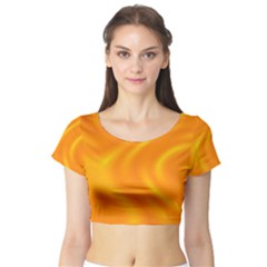 Honey Wave 1 Short Sleeve Crop Top by Sabelacarlos