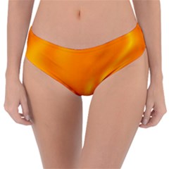 Honey Wave 2 Reversible Classic Bikini Bottoms by Sabelacarlos