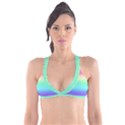 Rainbow Floral Ombre Print Plunge Bikini Top View1