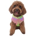 Pastel Rainbow Flame Ombre Dog Sweater View1