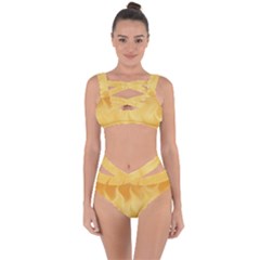 Gold Flame Ombre Bandaged Up Bikini Set  by SpinnyChairDesigns