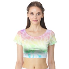 Pastel Rainbow Tie Dye Short Sleeve Crop Top by SpinnyChairDesigns