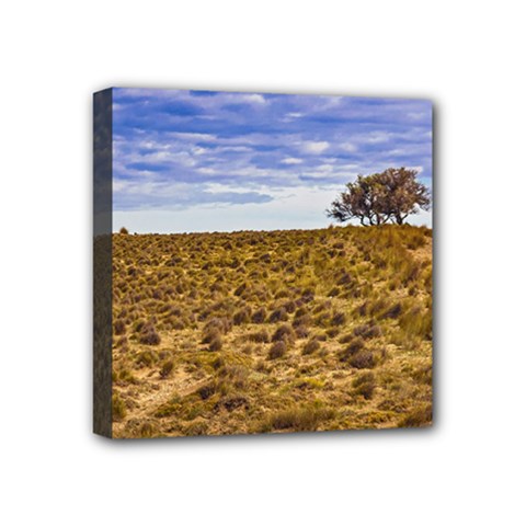 Patagonia Landscape Scene, Santa Cruz - Argentina Mini Canvas 4  X 4  (stretched) by dflcprintsclothing