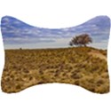 Patagonia Landscape Scene, Santa Cruz - Argentina Seat Head Rest Cushion View1