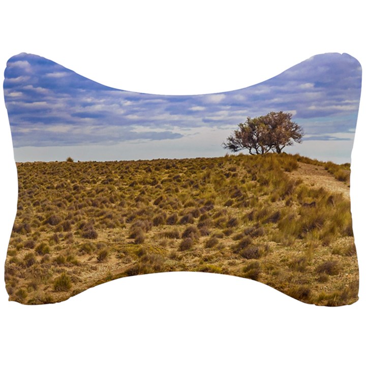 Patagonia Landscape Scene, Santa Cruz - Argentina Seat Head Rest Cushion