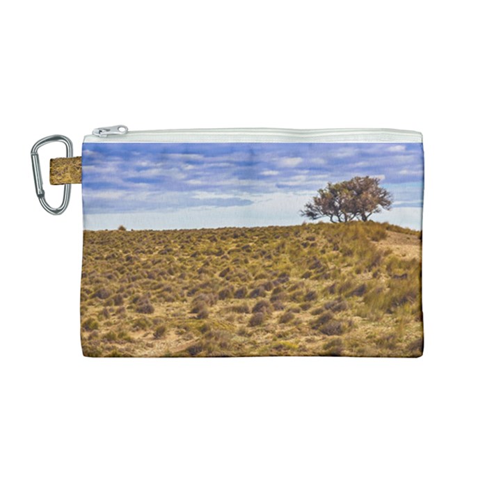 Patagonia Landscape Scene, Santa Cruz - Argentina Canvas Cosmetic Bag (Medium)