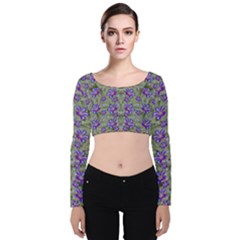 Flowers Everywhere And Anywhere In A Collage Velvet Long Sleeve Crop Top by pepitasart