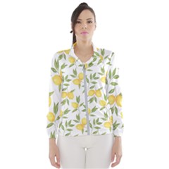 Lemons Women s Windbreaker by Angelandspot