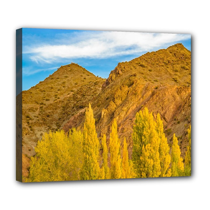 El Leoncito National Park, San Juan Province, Argentina Deluxe Canvas 24  x 20  (Stretched)