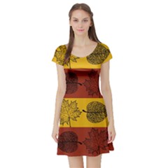 Autumn Leaves Colorful Nature Short Sleeve Skater Dress by Mariart