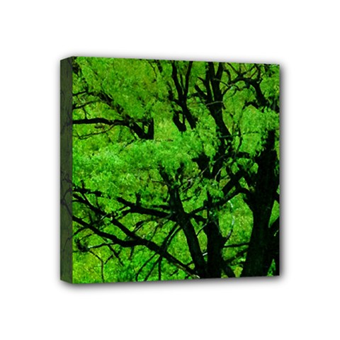 Big Trees, El Leoncito National Park, San Juan, Argentina Mini Canvas 4  X 4  (stretched) by dflcprintsclothing