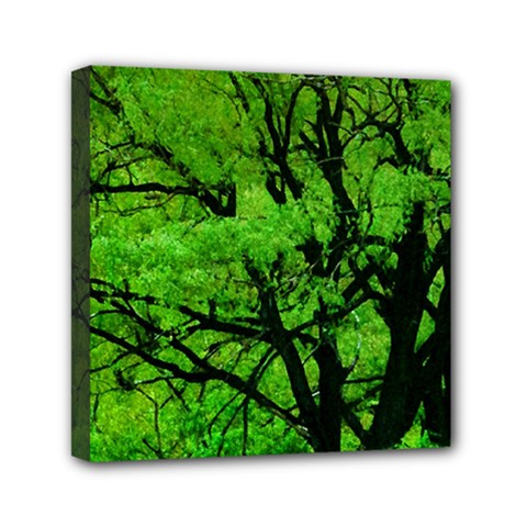 Big Trees, El Leoncito National Park, San Juan, Argentina Mini Canvas 6  X 6  (stretched) by dflcprintsclothing