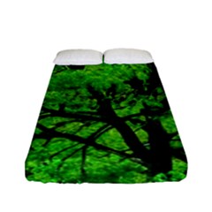 Big Trees, El Leoncito National Park, San Juan, Argentina Fitted Sheet (full/ Double Size) by dflcprintsclothing