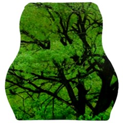 Big Trees, El Leoncito National Park, San Juan, Argentina Car Seat Velour Cushion  by dflcprintsclothing