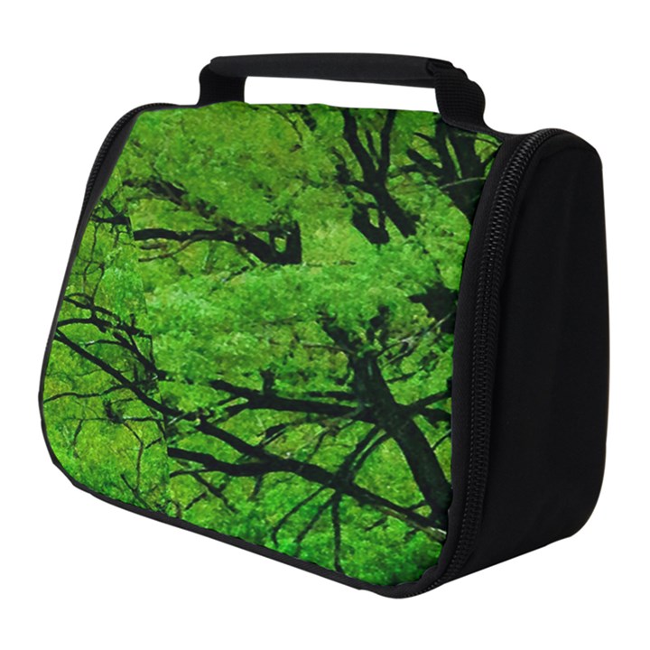 Big Trees, El Leoncito National Park, San Juan, Argentina Full Print Travel Pouch (Small)