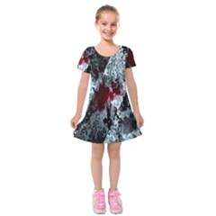 Flamelet Kids  Short Sleeve Velvet Dress by Sparkle