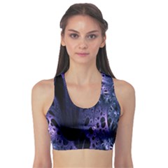 Fractal Web Sports Bra by Sparkle