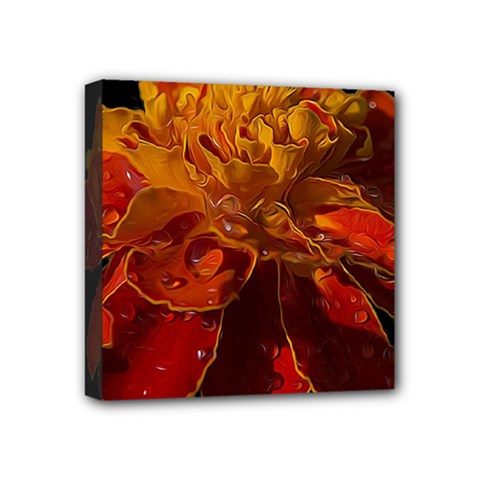 Marigold On Black Mini Canvas 4  X 4  (stretched) by MichaelMoriartyPhotography