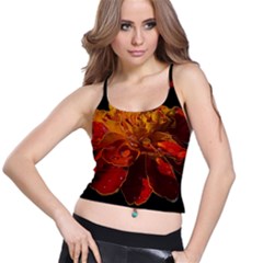 Marigold On Black Spaghetti Strap Bra Top by MichaelMoriartyPhotography