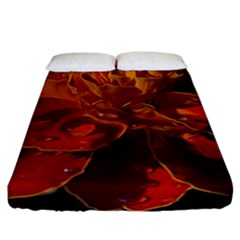 Marigold On Black Fitted Sheet (king Size) by MichaelMoriartyPhotography