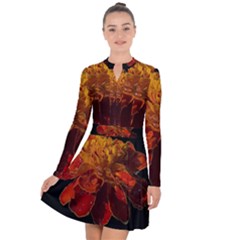 Marigold On Black Long Sleeve Panel Dress by MichaelMoriartyPhotography