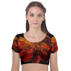 Marigold On Black Velvet Short Sleeve Crop Top  by MichaelMoriartyPhotography