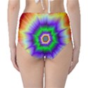 Psychedelic Explosion Classic High-Waist Bikini Bottoms View2