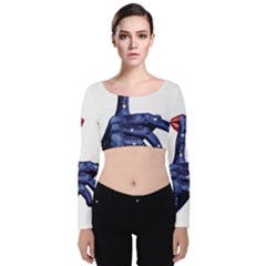 Hush Silence Quiet Secret Silent Velvet Long Sleeve Crop Top