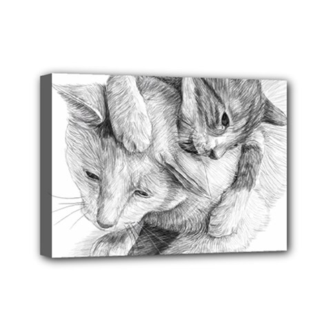 Cat Drawing Art Mini Canvas 7  X 5  (stretched)