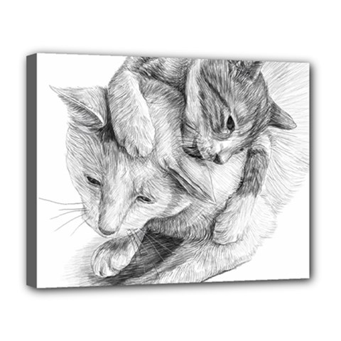 Cat Drawing Art Canvas 14  X 11  (stretched)