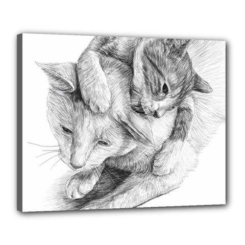 Cat Drawing Art Canvas 20  X 16  (stretched)