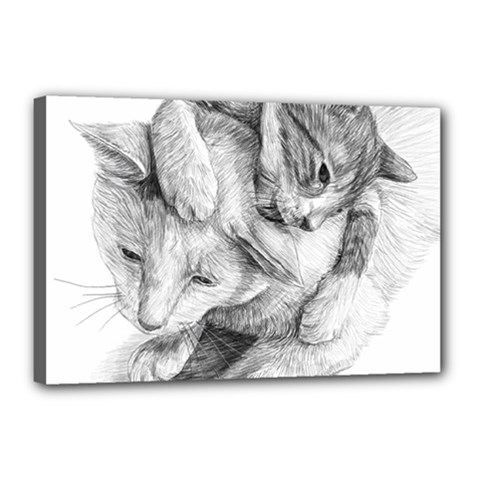 Cat Drawing Art Canvas 18  X 12  (stretched)