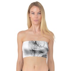 Cat Drawing Art Bandeau Top by HermanTelo