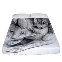 Cat Drawing Art Fitted Sheet (queen Size)