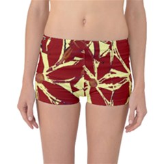 Flowery Fire Reversible Boyleg Bikini Bottoms by Janetaudreywilson