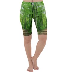 In The Forest The Fullness Of Spring, Green, Cropped Leggings  by MartinsMysteriousPhotographerShop