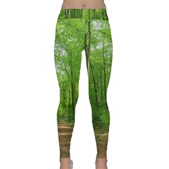 In The Forest The Fullness Of Spring, Green, Classic Yoga Leggings